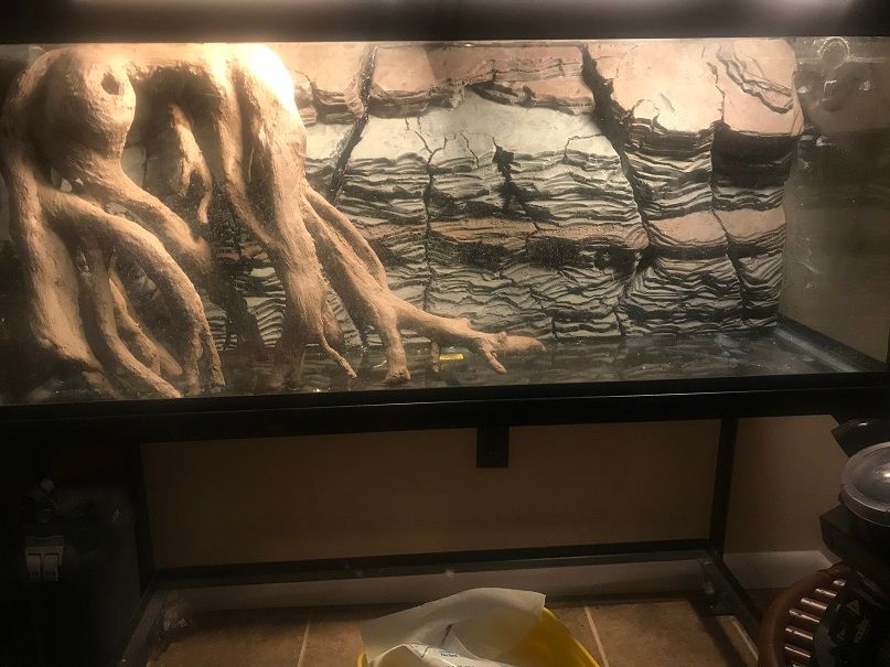 Filling behind 3D Aquarium background expanding foam? The Planted